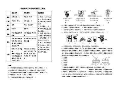 第五章　绿色植物与生物圈中的碳—氧平衡