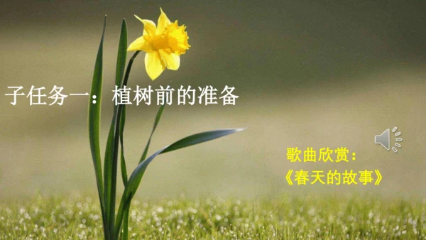 4.邓小平爷爷植树（第一课时）  课件