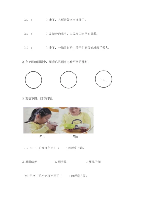教科版小学二年级上册科学期末测试卷带答案（培优a卷）.docx