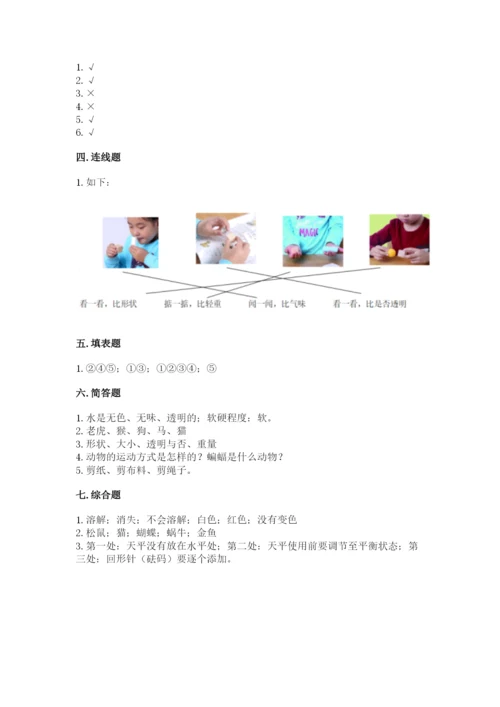 教科版小学科学一年级下册期末测试卷及答案（网校专用）.docx