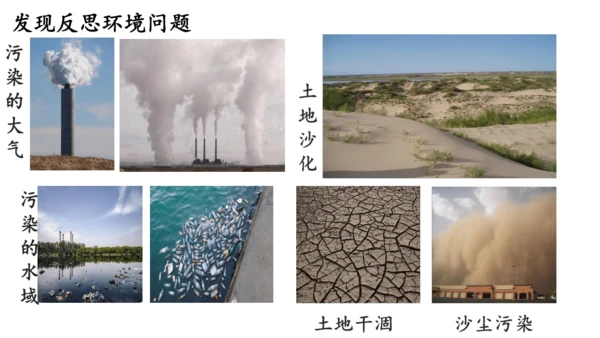 6 口语交际课：我们与环境 课件