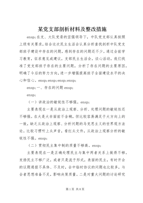 某党支部剖析材料及整改措施.docx