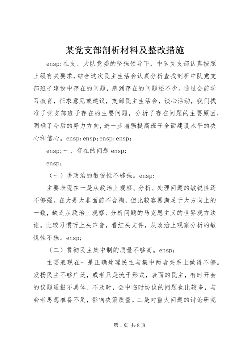 某党支部剖析材料及整改措施.docx