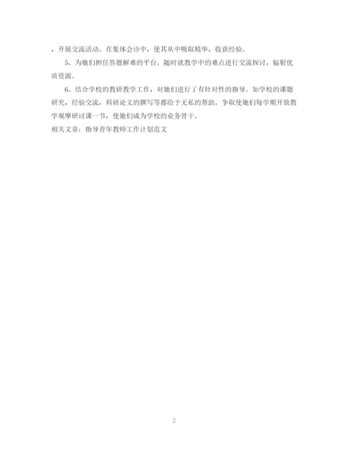 精编之骨干教师指导青年教师工作计划范文.docx