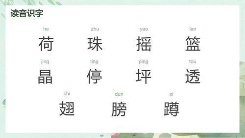 部编版一年级下册《荷叶圆圆》