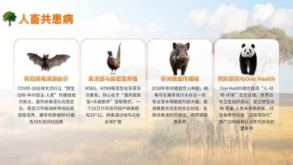 橙色世界动物日志愿者科普PPT模板