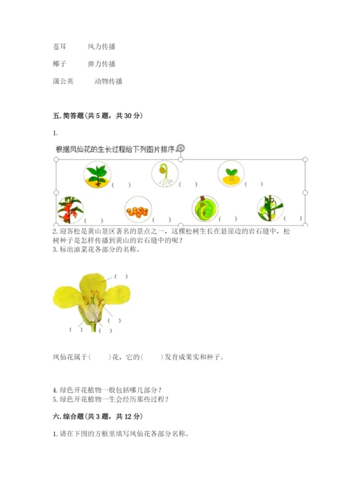 科学四年级下册第一单元《植物的生长变化》测试卷精品【巩固】.docx