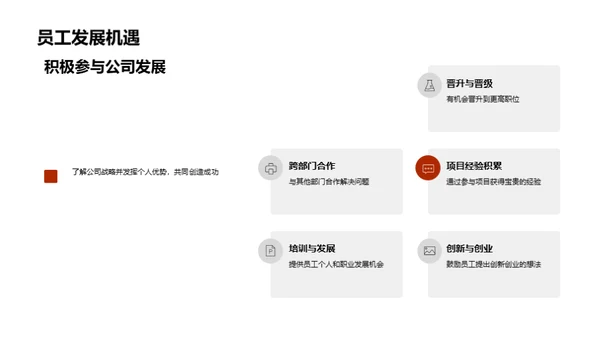 公司战略及业绩分析