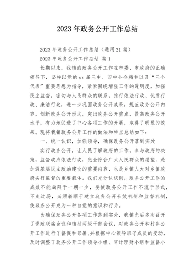 2023年政务公开工作总结.docx