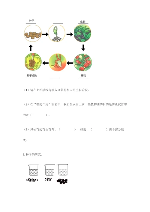 教科版科学四年级下册第一单元《植物的生长变化》测试卷（巩固）.docx