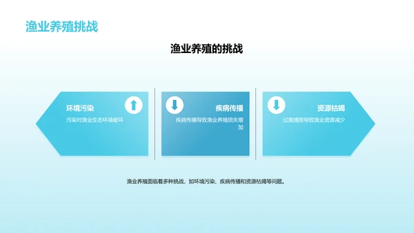 提升渔业养殖效益的科技创新