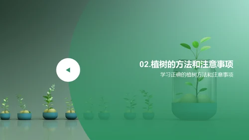 植树造林，共建绿色地球