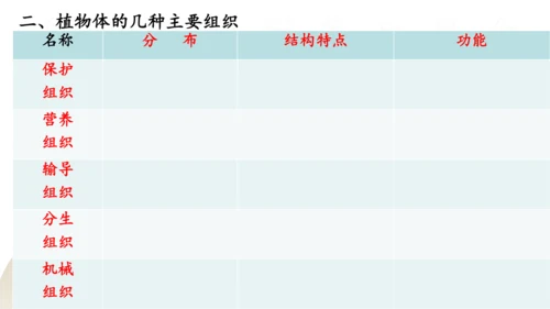 2.2.3 植物体的结构层次2023-2024学年七年级生物上册精品课件（人教版）(共18张PPT)