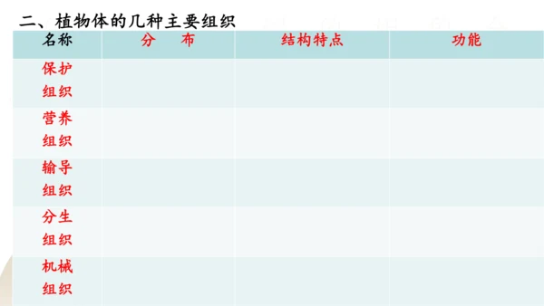 2.2.3 植物体的结构层次2023-2024学年七年级生物上册精品课件（人教版）(共18张PPT)