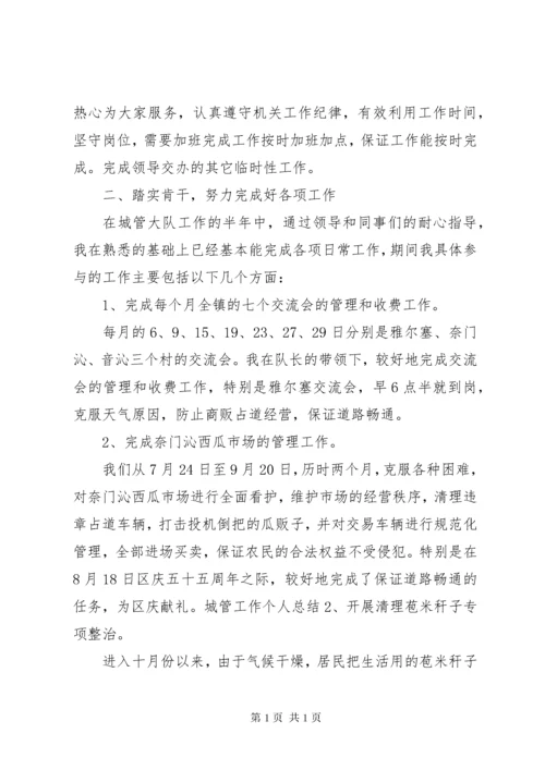 城管执法个人工作总结.docx