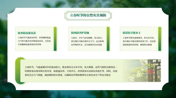 绿色二十四节气立春PPT模板