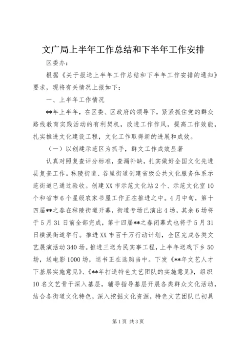 文广局上半年工作总结和下半年工作安排.docx