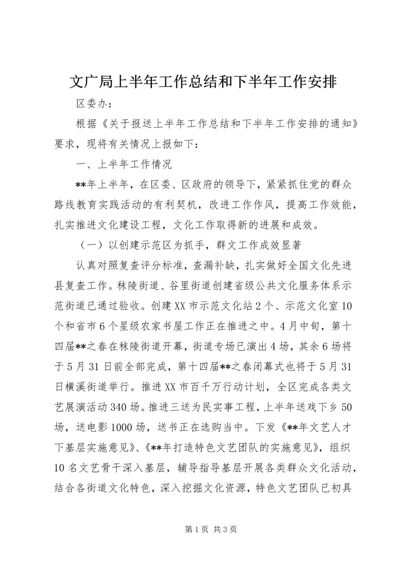 文广局上半年工作总结和下半年工作安排.docx