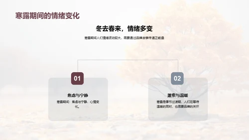 寒露节气品牌传播策略