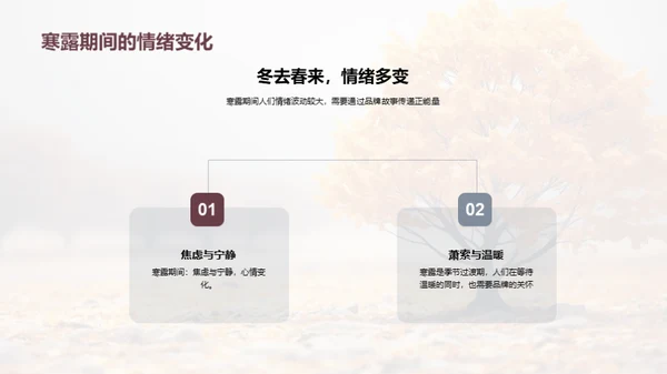 寒露节气品牌传播策略