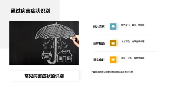 农作物病害解析与防控
