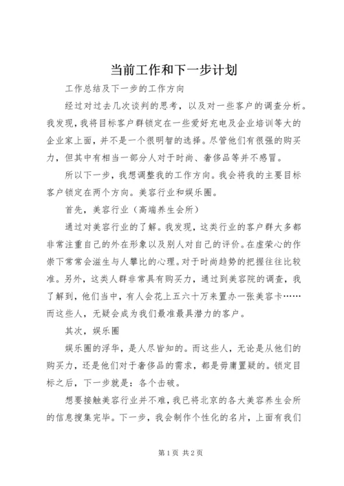 当前工作和下一步计划 (3).docx