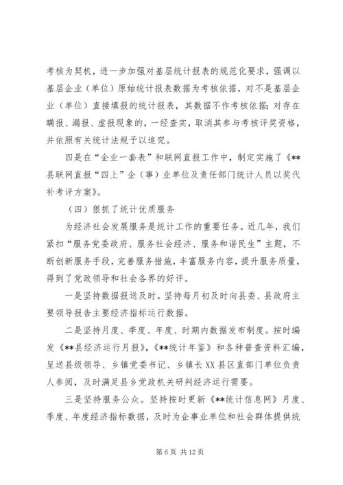 县统计巡查自查汇报.docx