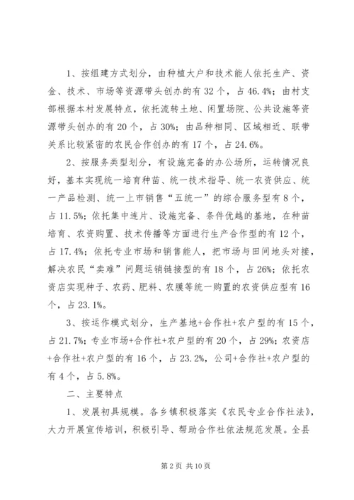 县蔬菜专业合作社调研报告.docx