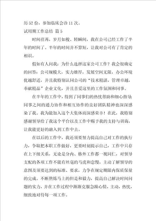 试用期工作总结模板集合九篇