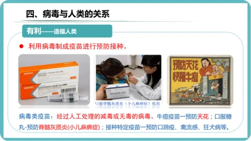 人教版生物七年级上册2.3.4《病毒》课件(共19张PPT)+视频素材