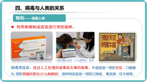 人教版生物七年级上册2.3.4《病毒》课件(共19张PPT)+视频素材