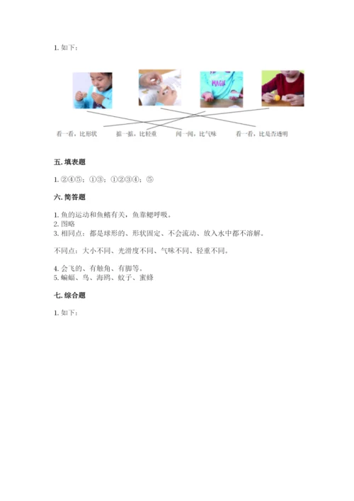 教科版小学科学一年级下册期末测试卷附答案【培优b卷】.docx