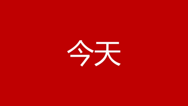 婚礼发布会快闪动画通用PPT模板