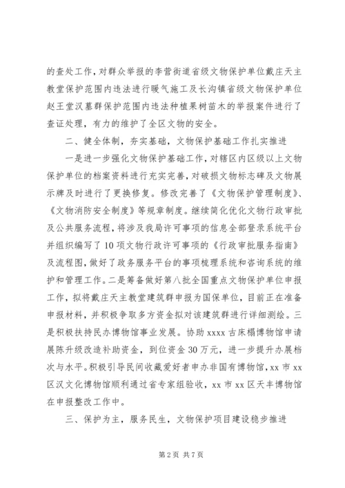 文物局XX年上半年工作总结及下半年工作计划.docx