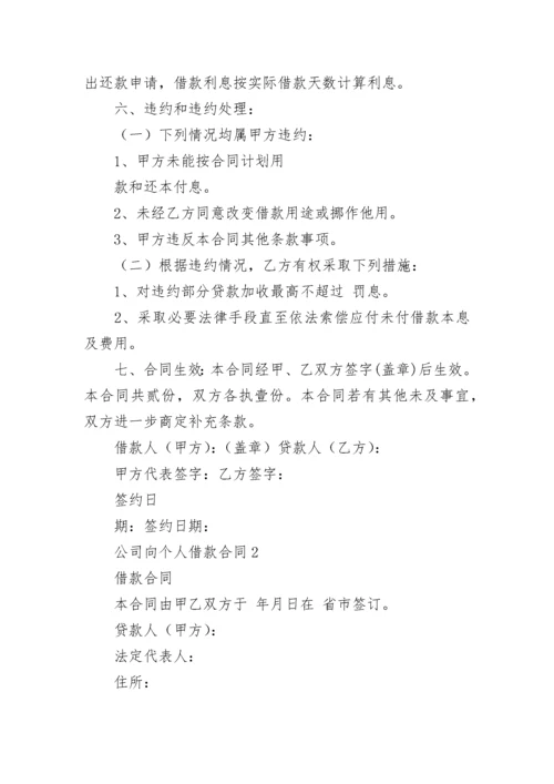 公司向个人借款合同.docx