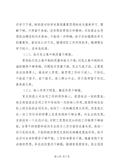 公司班子成员民主生活会剖析材料.docx