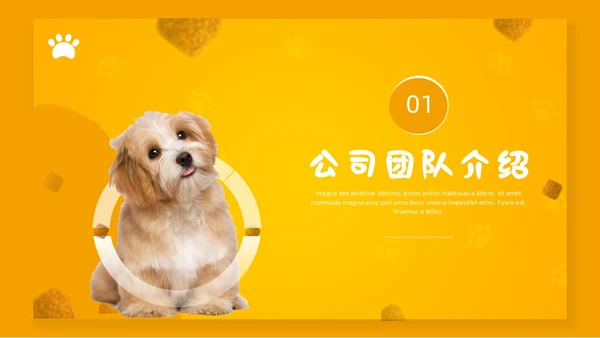 橙色简约宠物行业商业计划书PPT