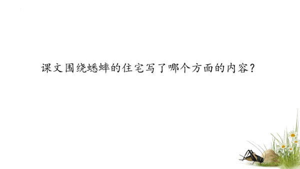 11 蟋蟀的住宅（课件）