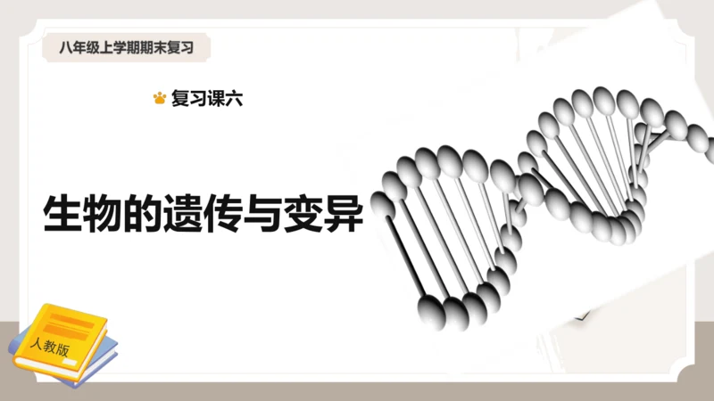 复习专题六生物的遗传与变异（串讲课件）-八年级生物上学期期末考点大串讲（人教版）(共23张PPT)