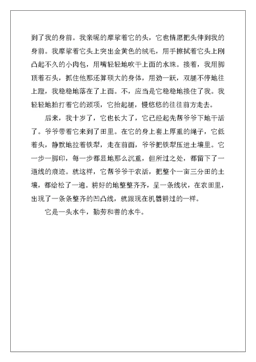 2022年实用的三年级写物作文汇编5篇