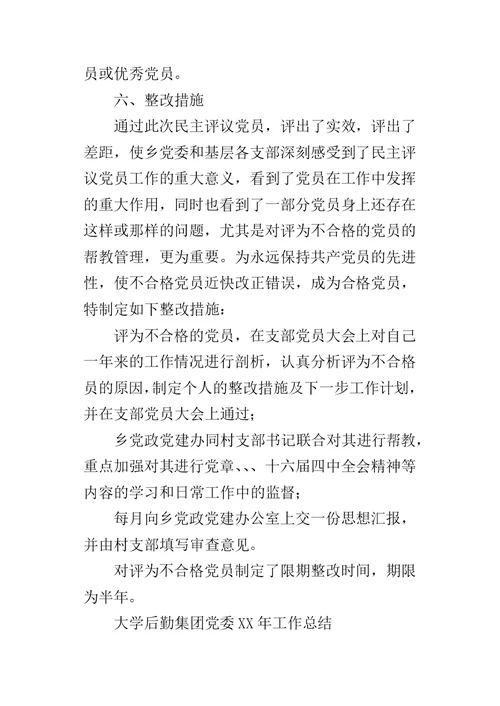 乡镇民主评议党员的工作总结 2