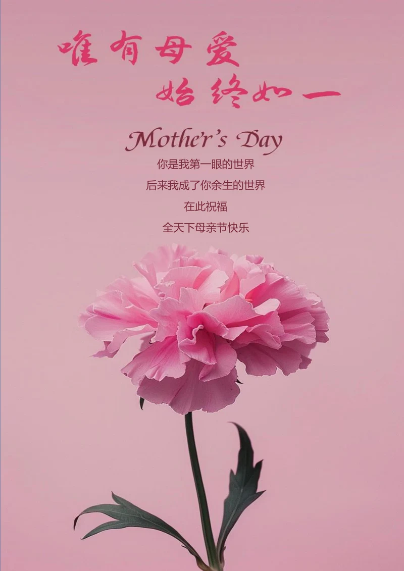 康乃馨节日祝福母亲节海报
