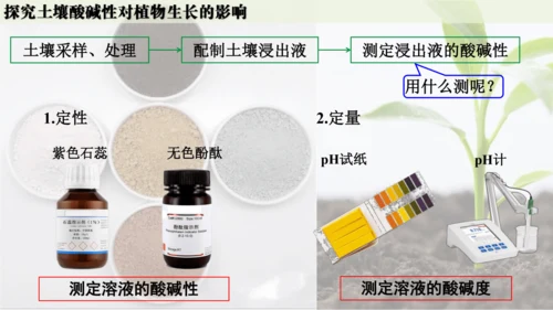 跨学科实践活动9  探究土壤酸碱性对植物生长的影响课件(共33张PPT)