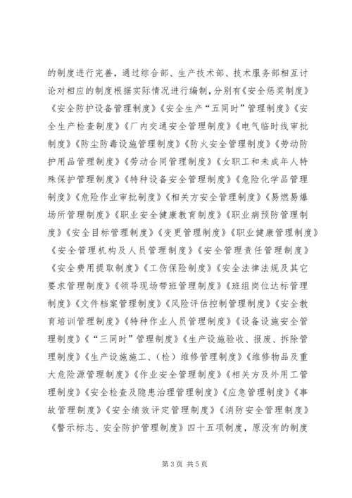 安全标准化实施情况汇报.docx