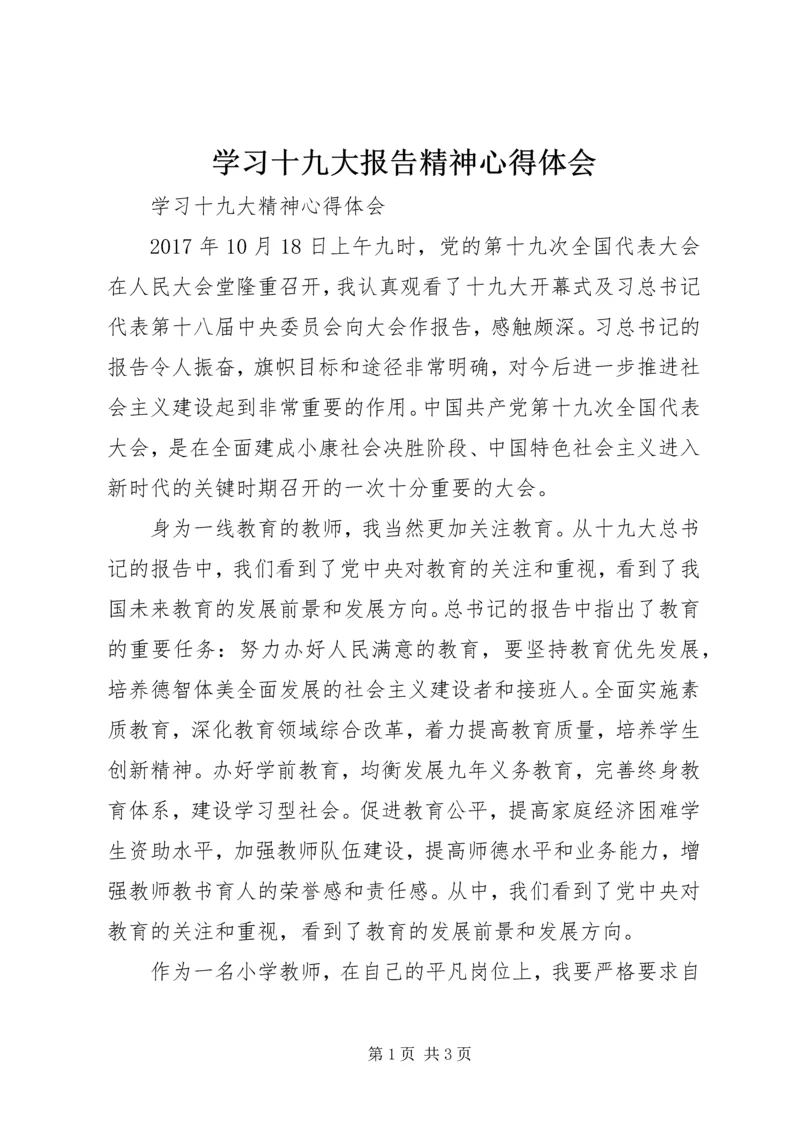 学习十九大报告精神心得体会 (17).docx