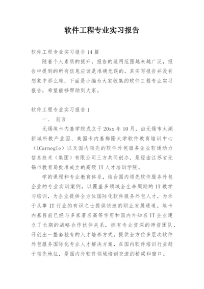 软件工程专业实习报告.docx