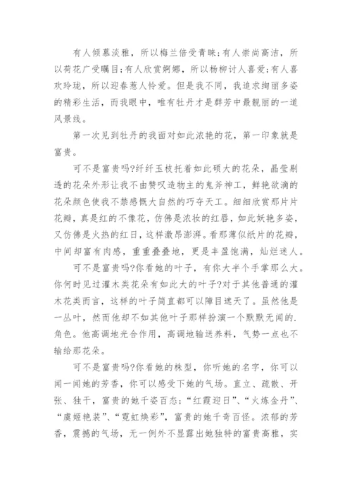 高中牡丹之爱议论文.docx