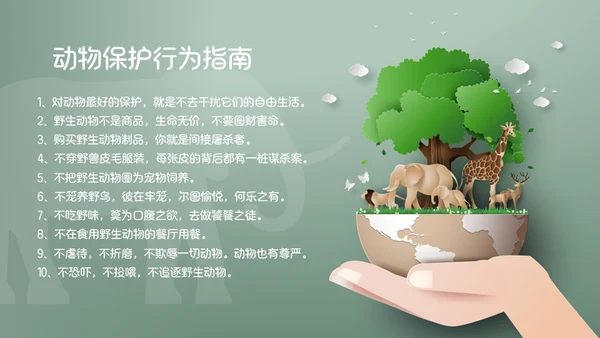 《世界动物日》生态地球保护地球通用PPT模板