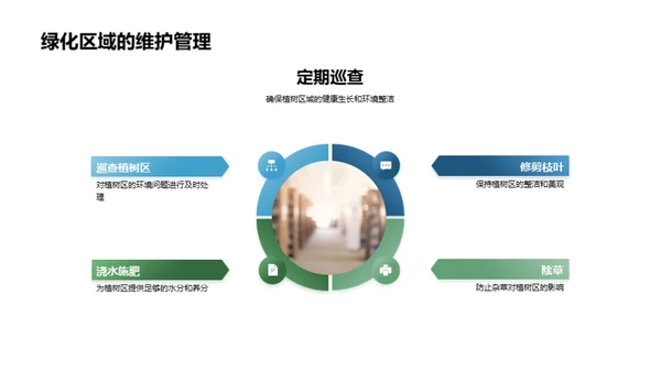 校园绿化 实践环保