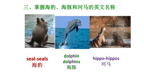 Unit 6  Would you like to take a trip? 单元知识梳理（单词+句